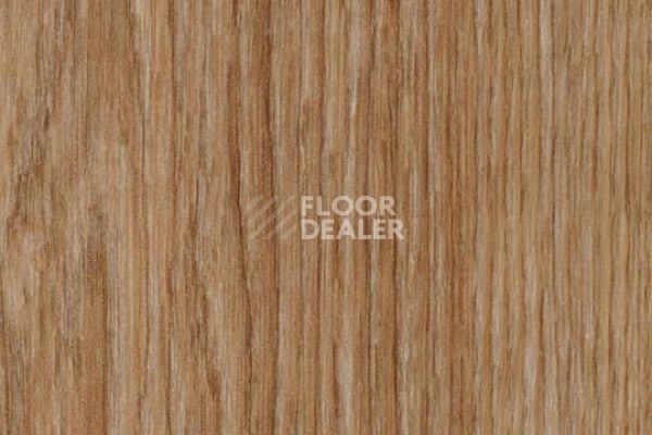 Виниловая плитка ПВХ FORBO Allura Wood 63416DR7-63416DR5 light timber фото 1 | FLOORDEALER